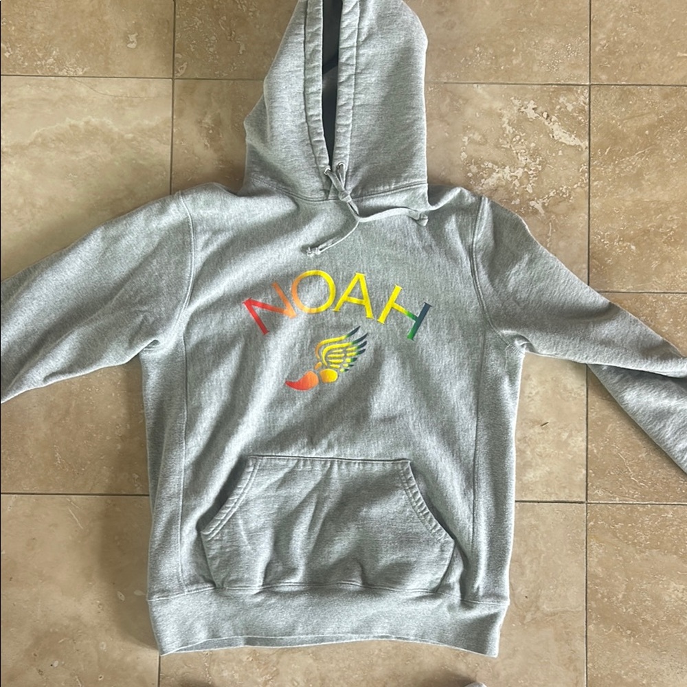 Gray Noah Hoodie with Rainbow Logo